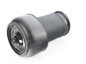 PNEUMATIC SPRING, REAR
