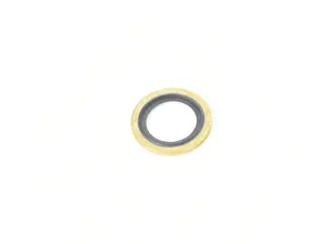 GASKET RING