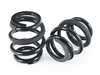 BC Racing BC Racing BR Series Extreme Low Coilovers - E83 X3 I-71E-BR View 9