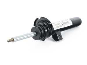 Front Strut - Left