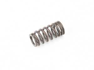 Genuine BMW Valve Spring - 11348603911