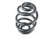 Lesjofors Lesjofors Rear Coil Spring - E46 Standard Suspension 4208434 View 1