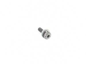 Genuine BMW Torx Screw With Round Seal R - 24317601229