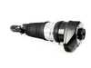 Genuine BMW AIR SPRING STRUT, FRONT LEFT 37107915965 View 1