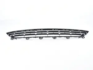 Genuine BMW Grill, Center, Lower, Open - 51117319768 - F16