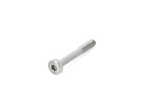 Genuine BMW Torx Bolt - 24311219386