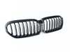 Genuine BMW GRILL FRONT 51129852169 View 1