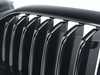 Genuine BMW GRILL FRONT 51129852169 View 3