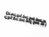 Schrick BMW S54 3.2L Schrick Camshaft Set 280/272 12.5mm Lift E46M3SCHRICK View 1