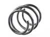 Lesjofors Front Spring - Priced Each 4058703 31336759389 View 1