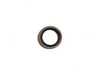Genuine BMW Genuine BMW Washer-Gasket 18,7X26X1,5 - 17221723803 - E34,E38,E39,E53 17221723803 View 1