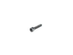 CHEESE-HEAD SCREW