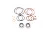 Race German Race German Dual Vanos Rebuild - Seal And Rattle Kit RGDVNSSRK View 1