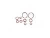 Race German Race German S54 Vanos Rebuild Kit RGS54VNsK View 1