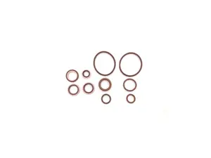 Race German S54 Vanos Rebuild Kit