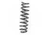 Lesjofors Rear Coil Spring 4208463 View 1