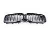 Genuine BMW FRONT ORNAMENTAL GRILLE BLACK 51135A36BD0 View 1