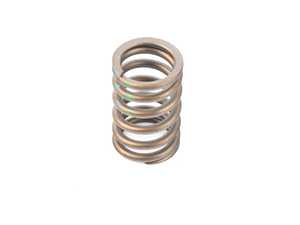 Genuine BMW Valve Spring - 11341738488 - E34,E36