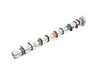 AMC Camshaft - Exhaust Side 647108 - Priced Each  11317565422 View 2