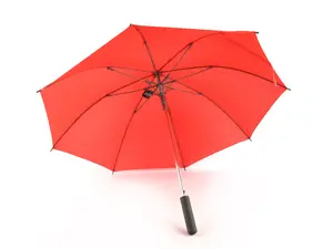 MINI UMBRELLA WALKING STICK