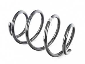 FRONT COIL SPRING