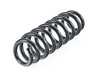 Lesjofors Rear Coil Spring 4208455 View 1