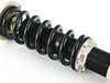 BC Racing BC Racing BR Series Extreme Low Coilover Kit - 51mm Front Struts (Weld-In) - E21 320i I-43E-BR View 8
