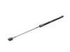 Stabilus Hatch Strut - Priced Each 4B-289222 51247318896 View 1