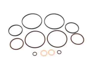 Race German Dual Vanos Rebuild - Seal Kit