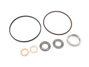 Race German Single Vanos Rebuild - Seal And Rattle Kit