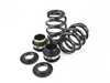 BC Racing BC Racing BR Series Coilover Suspension Kit - E83 X3 I-71-BR View 2