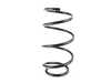 Lesjofors Lesjofors Front Coil Spring - E46 38006006316 View 1