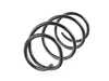 Lesjofors Lesjofors Front Coil Spring - E46 38006006316 View 2