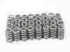 Supertech Supertech Valve Spring Kit - BMW S65 Engine ST-VSK-S65 View 1