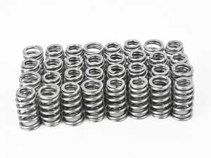 Supertech Valve Spring Kit - BMW S65 Engine