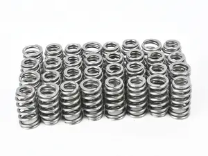 Supertech Valve Spring Kit - BMW S65 Engine