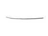 Genuine BMW Genuine BMW Roof Molding Prime-Coated Left - 51137341891 - F32 51137341891 View 1