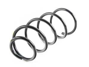 Rear Coil Spring - Heavy Duty 