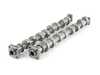 Cat Cams Cat cams Sport camshaft set 263/256 11.00mm/10.50mm - Z3 1.9 E36 318i 1301712 View 1