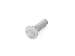 Genuine BMW Torx Screw - 31202283404