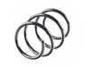 Mubea Front Spring - Priced Each  31336759383 View 2