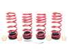 H&R H&R VTF Adjustable Lowering Springs - F95 X5 M/M Comp, F96 X6 M/M Comp 23023-1 View 1
