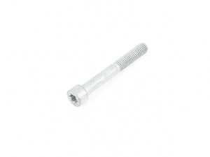 Genuine BMW Isa Screw - 07129904502 - E39 M5