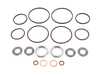 Race German Race German Dual Vanos Rebuild - Seal And Rattle Kit RGDVNSSRK View 2