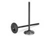 Supertech Supertech Black Nitrided Intake Valve - +1mm Oversize - Set Of 12 - BMW M50/M52/S50/S52 BMIVN-1031S-12 View 1
