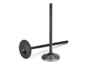 Supertech Black Nitrided Intake Valve - +1mm Oversize - Set Of 12 - BMW M50/M52/S50/S52