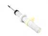 Genuine BMW SPRING STRUT, EDC, FRONT RIG 31307856896 View 2