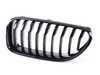 Genuine BMW Genuine BMW Trim Grill, High-Gloss Black - 51712287953 51712287953 View 1
