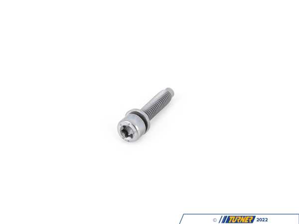 Genuine BMW TORX SCREW 07129905493
