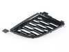 Genuine BMW GRILL CENTER LEFT 51118075601 View 1